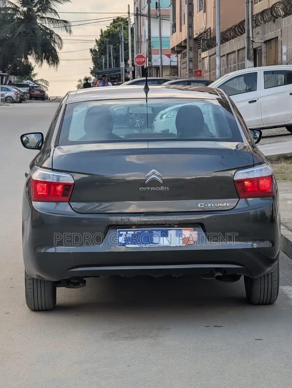 Citroen C-Elysee 2014 Noir Mat
