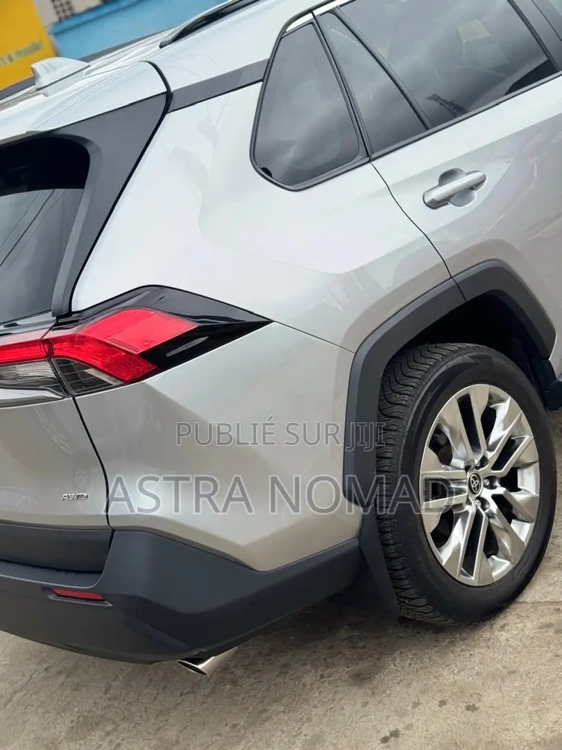 Toyota RAV4 2021 Gris