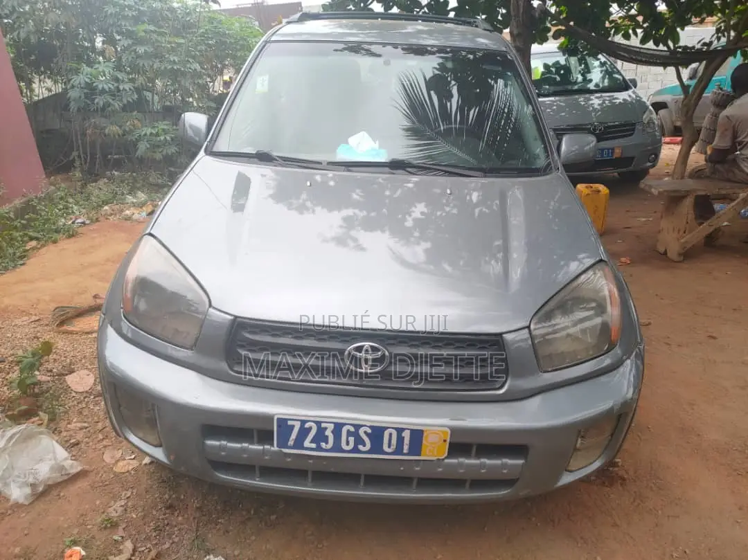 Toyota RAV4 Automatic 2002 Gris