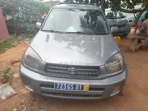 Toyota RAV4 Automatic 2002 Gris
