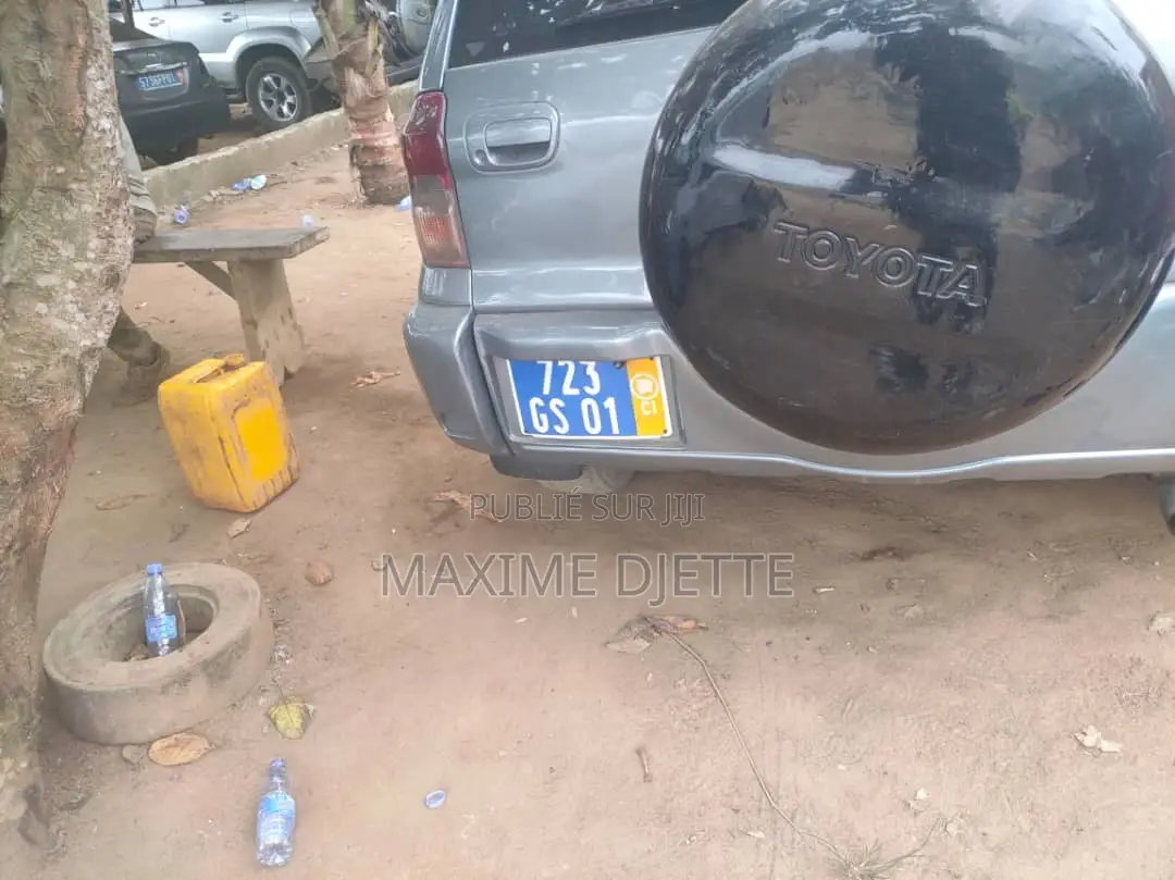 Toyota RAV4 Automatic 2002 Gris