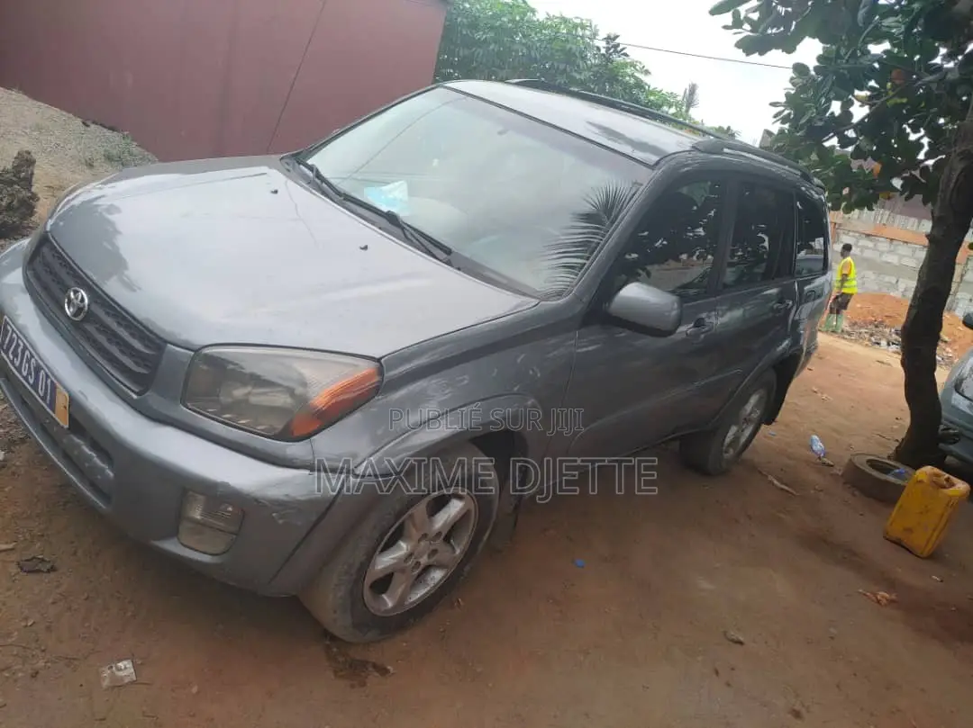 Toyota RAV4 Automatic 2002 Gris
