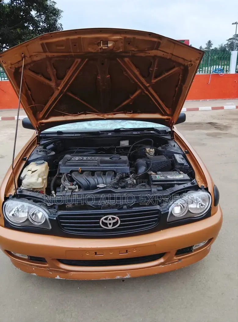 Toyota Corolla 2002 Orange