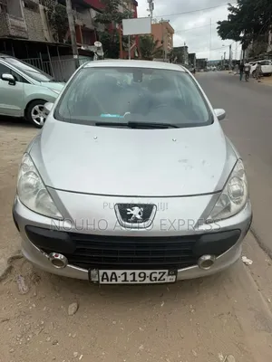 Peugeot 307 2002 Gris