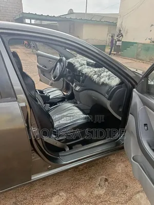 Hyundai Elantra 2008 Gris