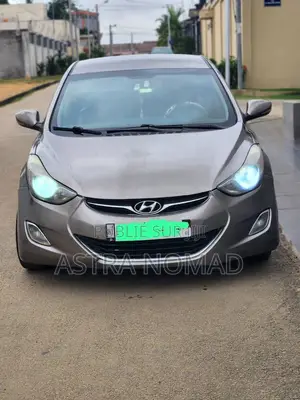 Hyundai Elantra 2014 Doré