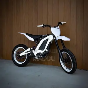Vélo Électrique 