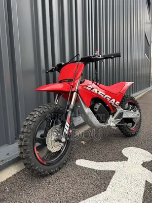 Vélo Électrique 