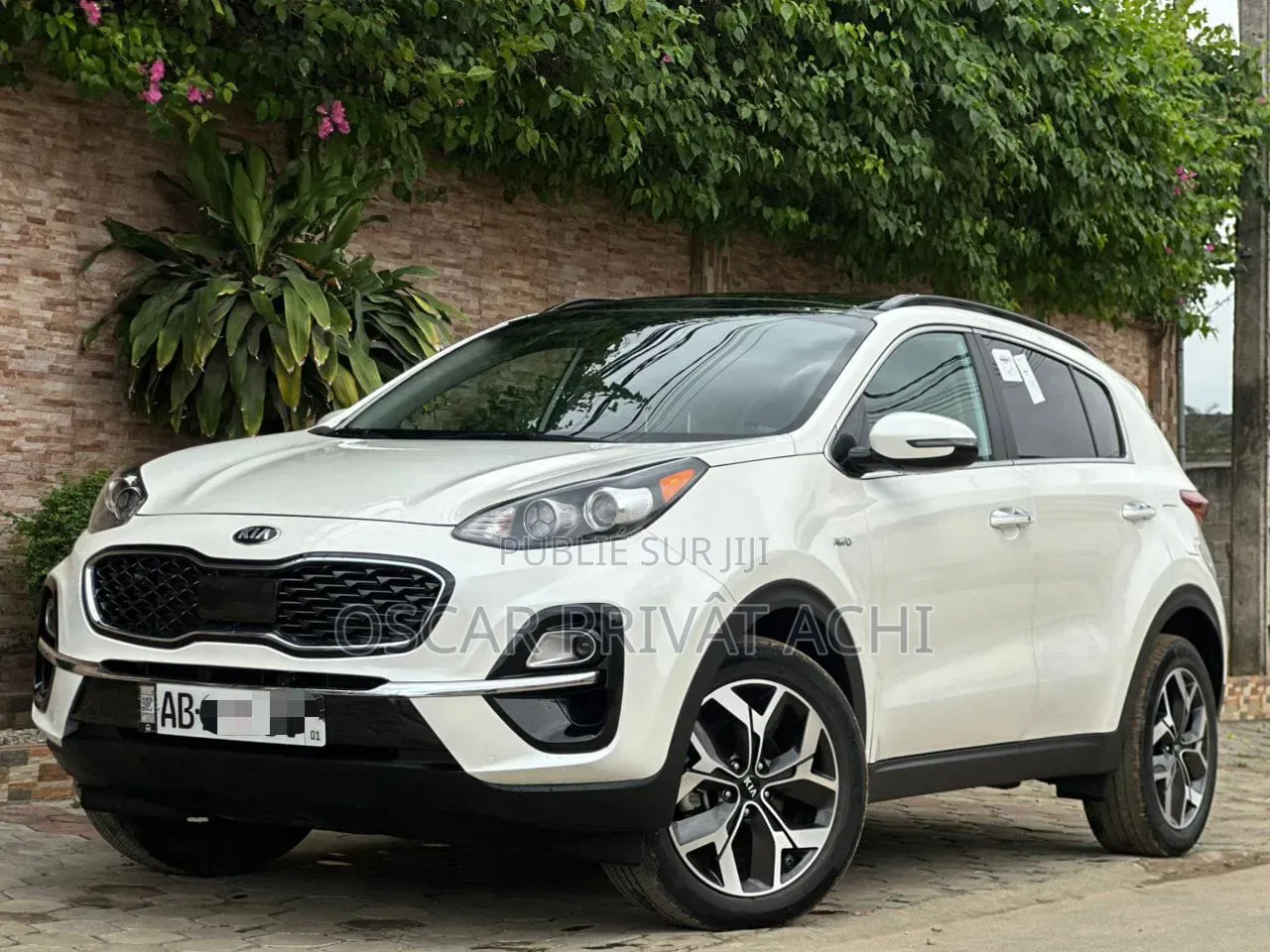 Kia Sportage EX 2022 Blanc
