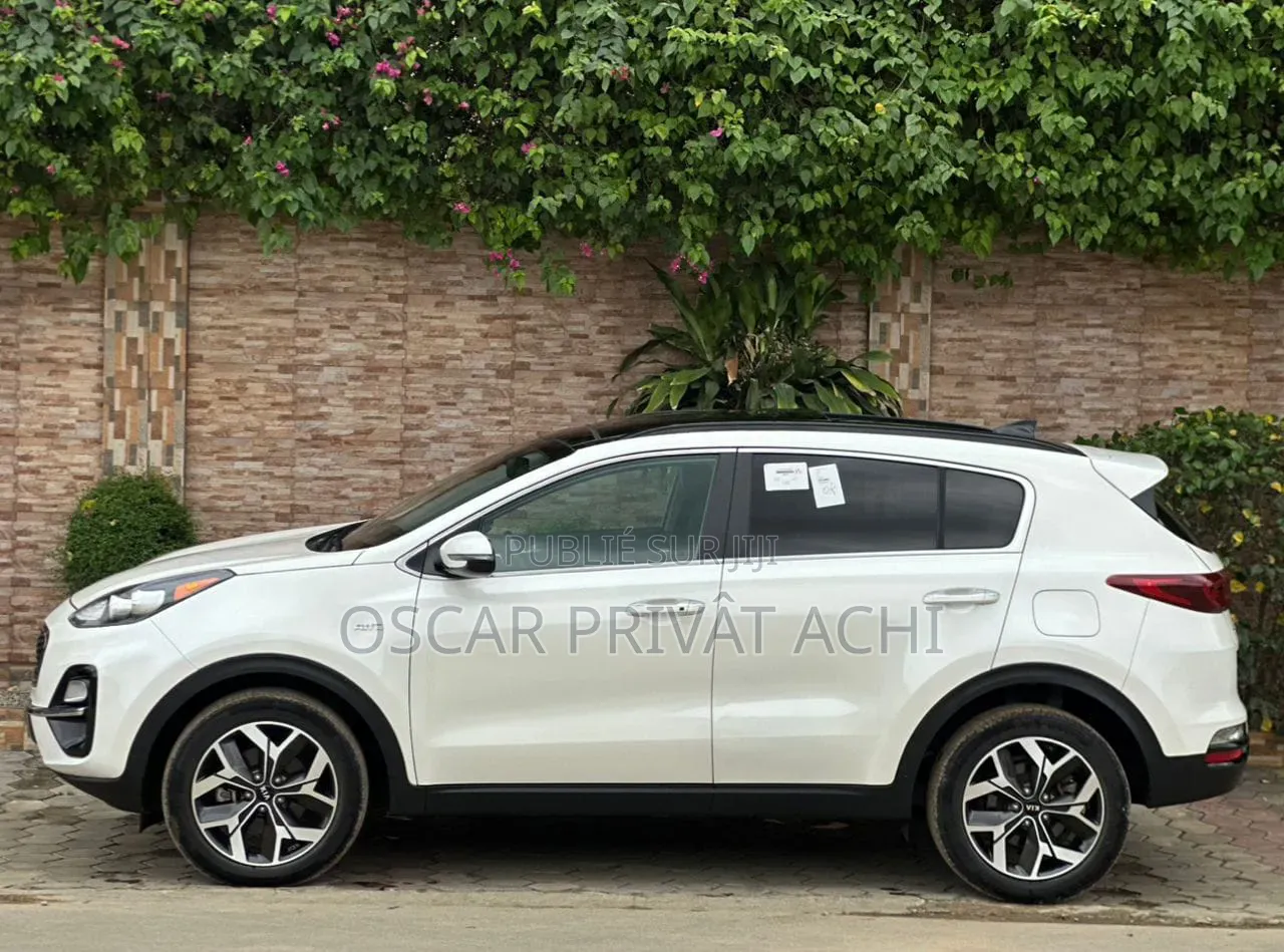Kia Sportage EX 2022 Blanc