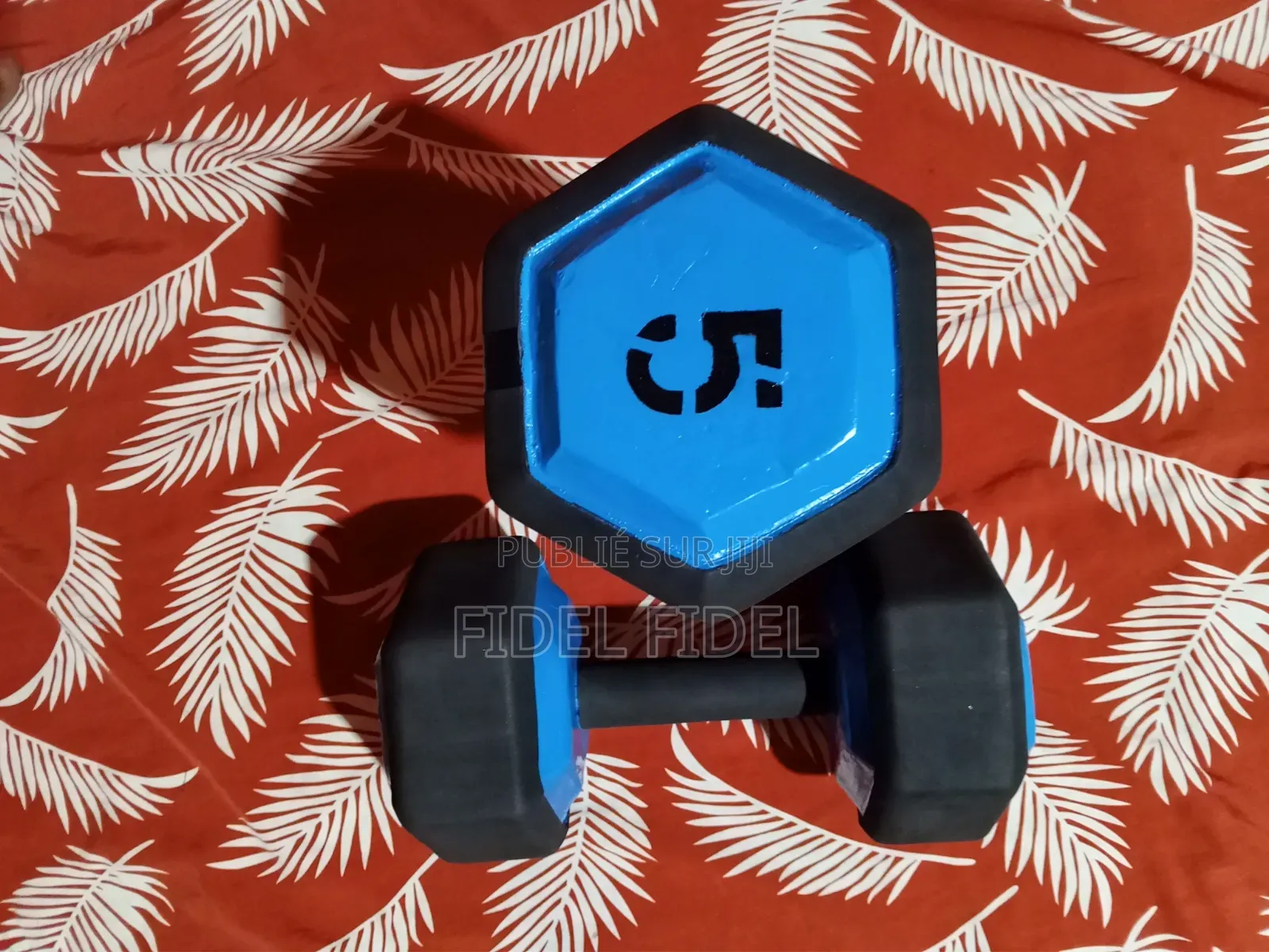 Haltères Hexagonale 5 Kg X 2