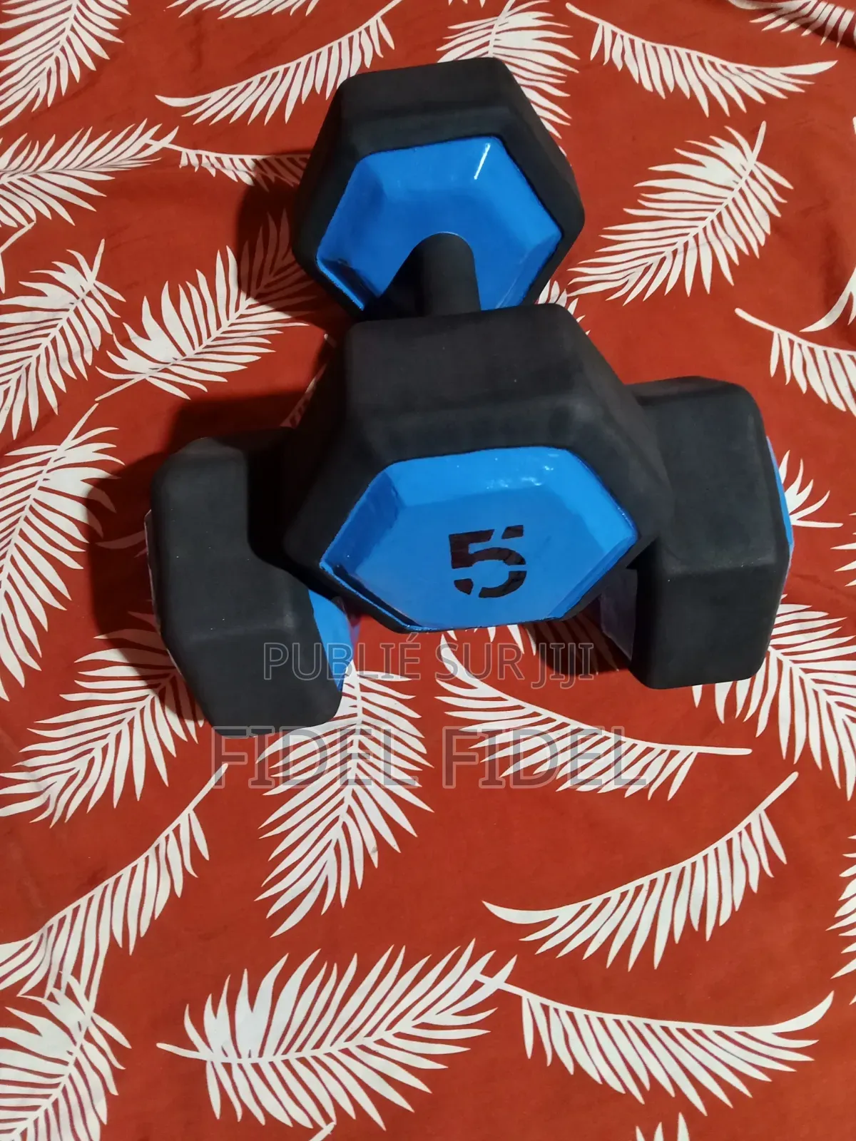 Haltères Hexagonale 5 Kg X 2
