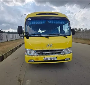 Hyundai County 2020 Jaune