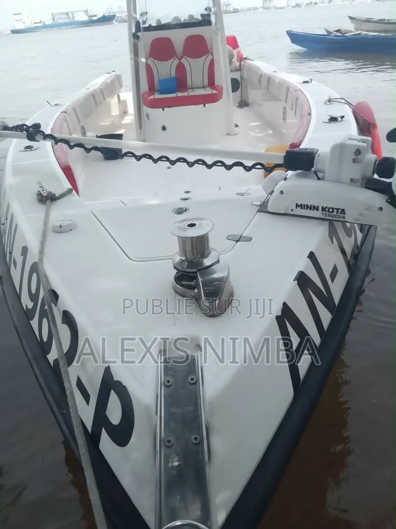 Bateau Plaisance VIPvip Luxueux Et Pêche 2x250chevaux Yamaha 95million