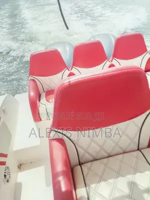 Bateau Plaisance VIPvip Luxueux Et Pêche 2x250chevaux Yamaha 95million