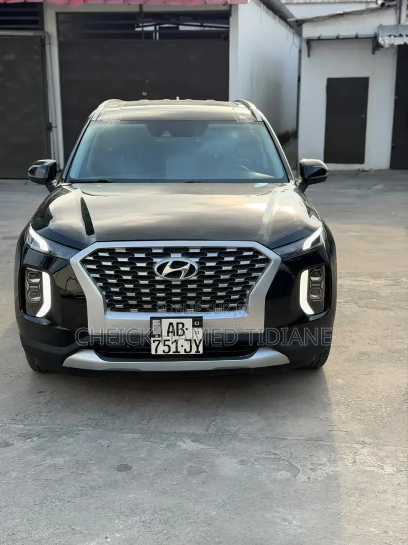 Hyundai Palisade 2023 Noir