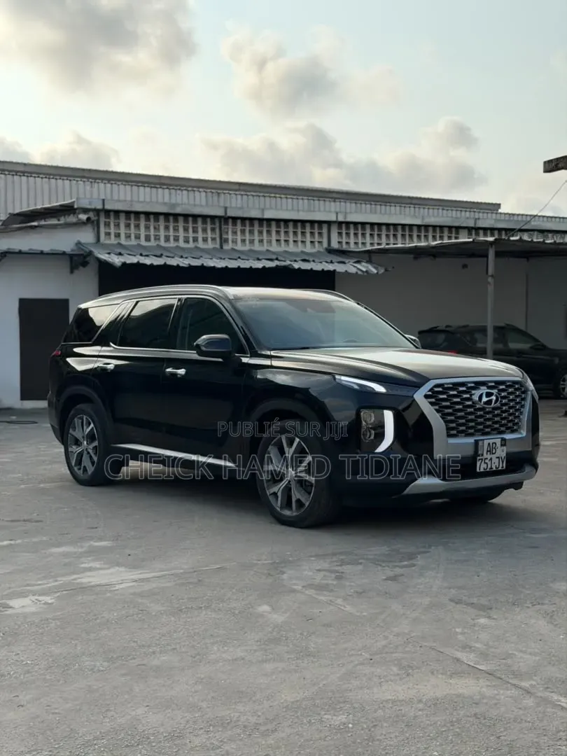 Hyundai Palisade 2023 Noir