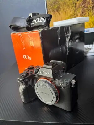 Sony at 7 IV (4)Appareil Photo Hybride Plein Format Polyvalent 33