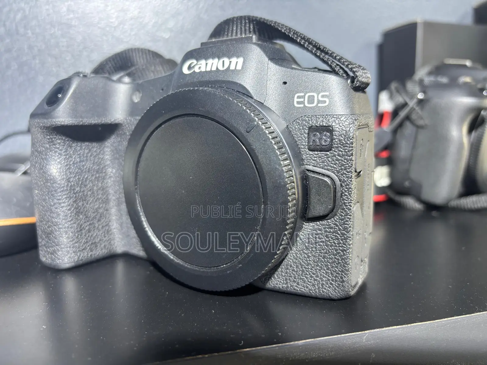 Canon Eos R8