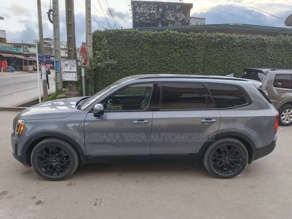 Kia Telluride SX 2023 Gris