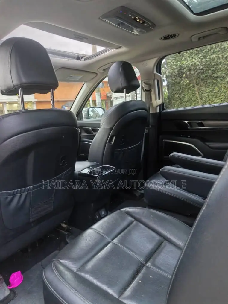 Kia Telluride SX 2023 Gris