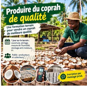 Produire Du Coprah De Qualité