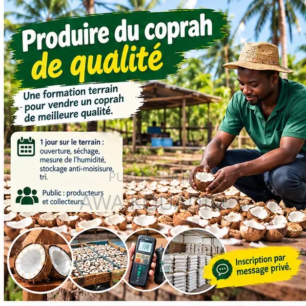 Produire Du Coprah De Qualité