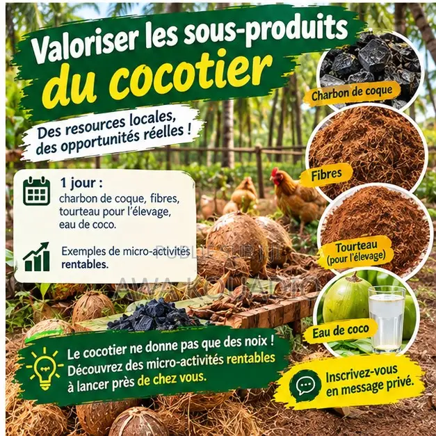 Formation Valoriser Les Sous-Produits Du Cocotier