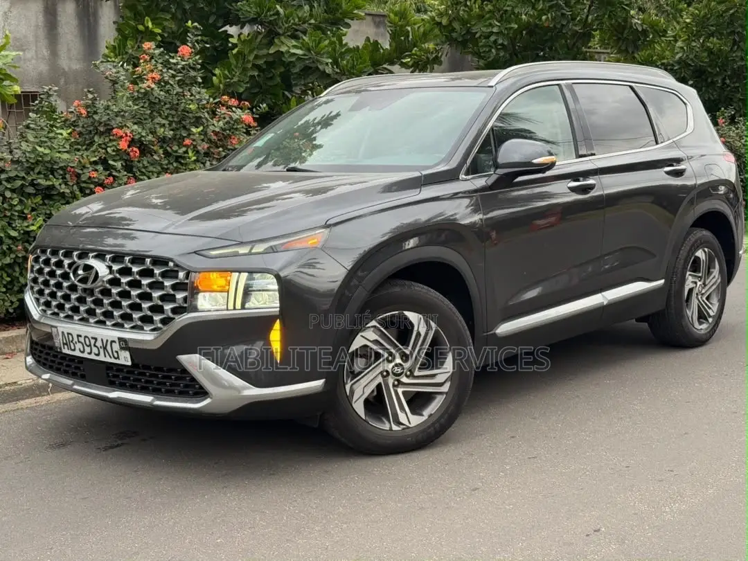 Hyundai Santa Fe Calligraphy 2022 Gris