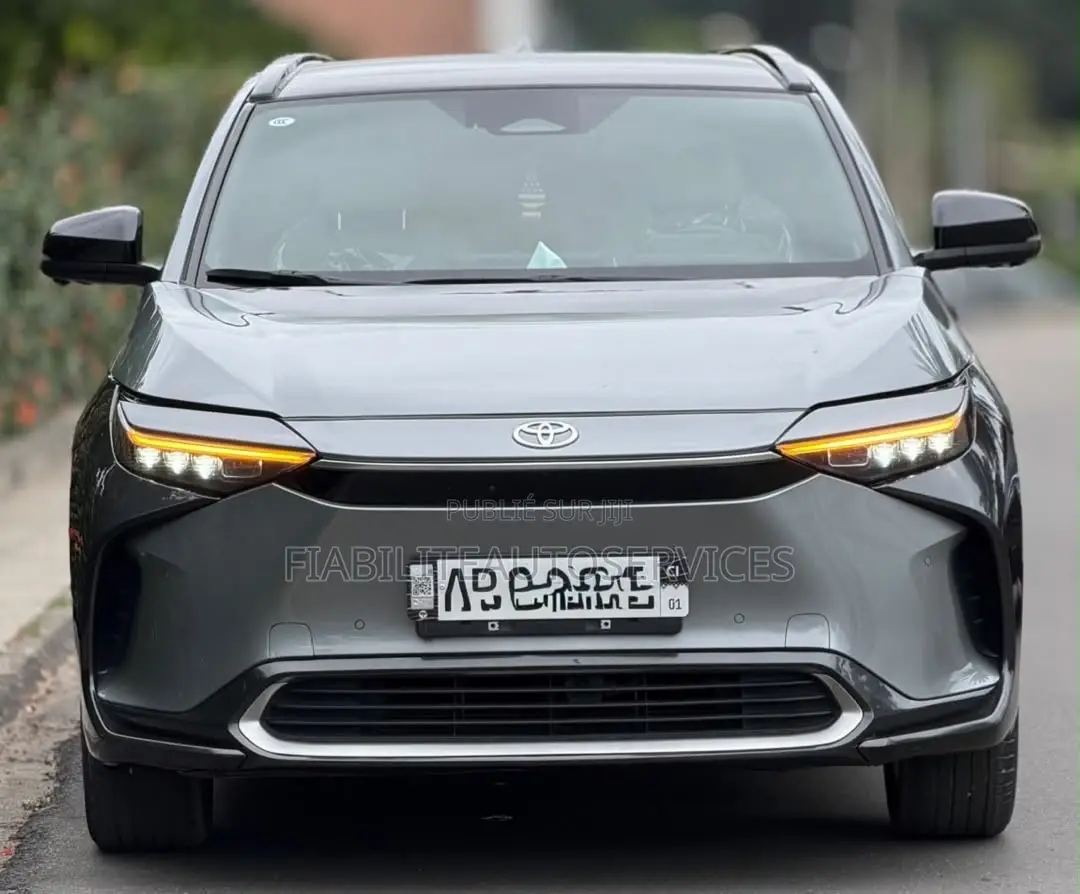 Toyota RAV4 2026 Gris