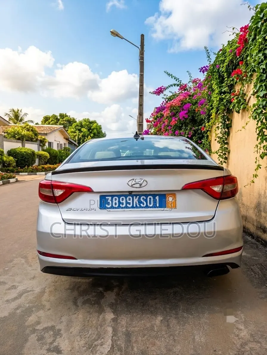 Hyundai Sonata 2017 Gris