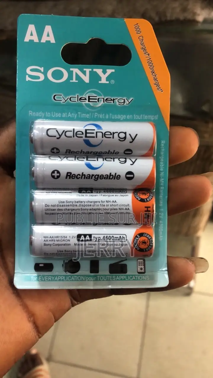 Pile De Micro Rechargeable