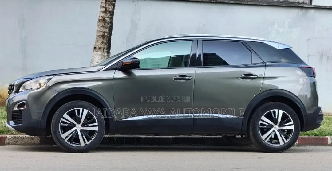 Peugeot 3008 2018 Gris