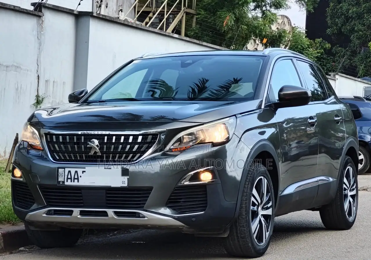 Peugeot 3008 2018 Gris