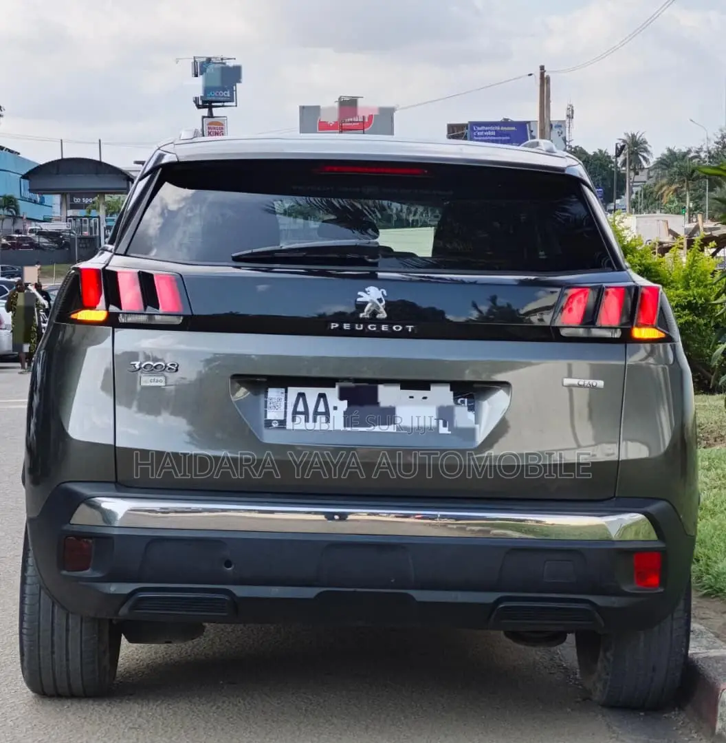 Peugeot 3008 2018 Gris