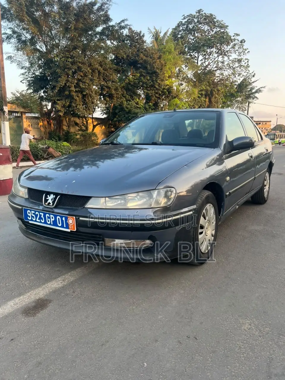 Peugeot 406 2000 Gris