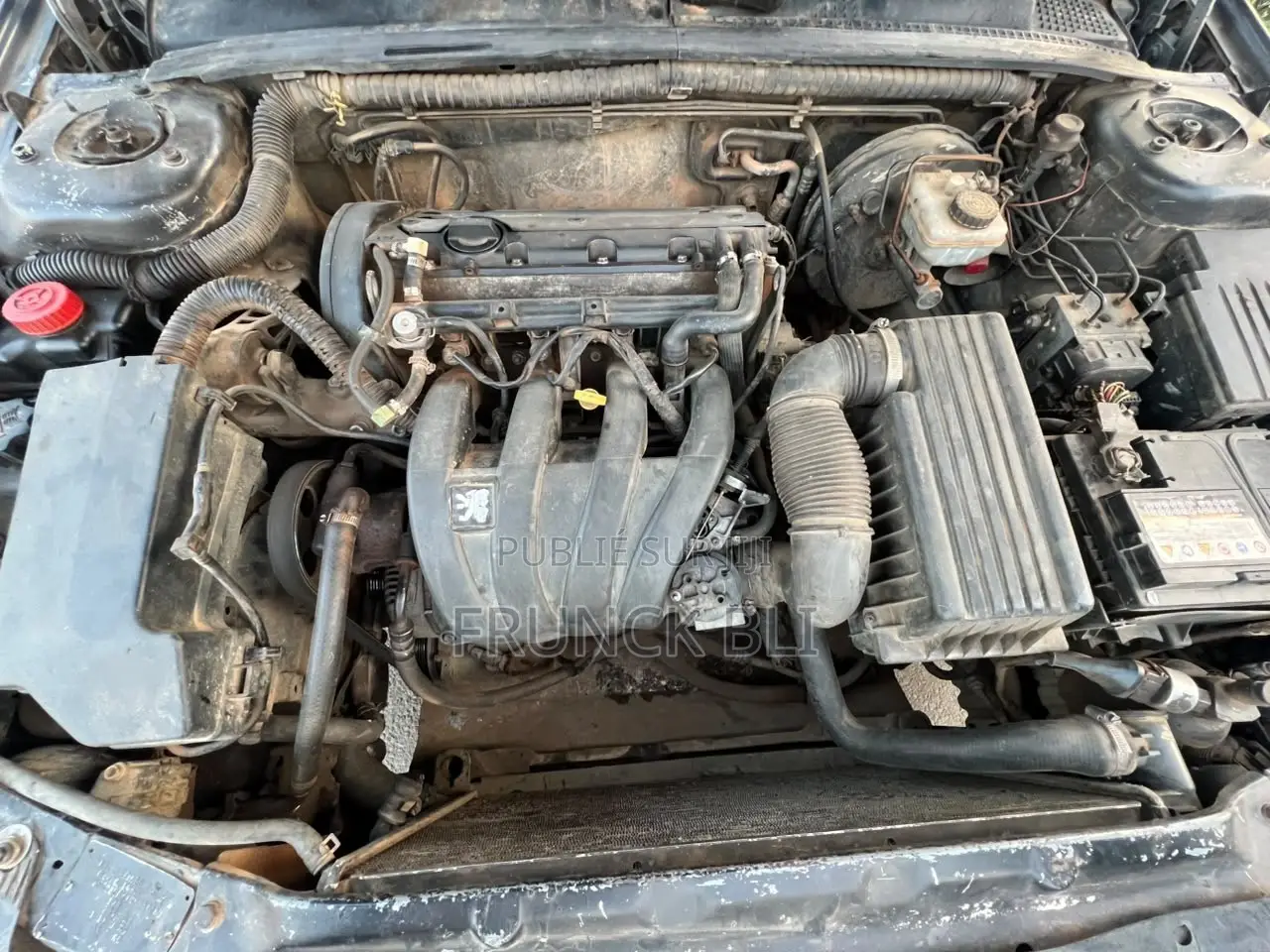 Peugeot 406 2000 Gris