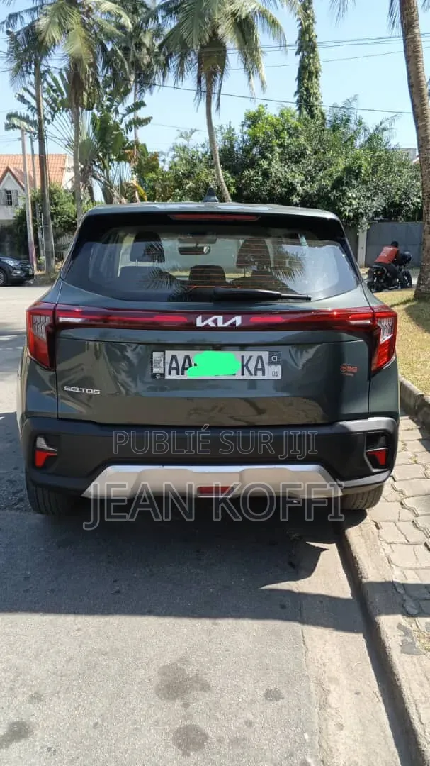 Kia Seltos 2024 Gris