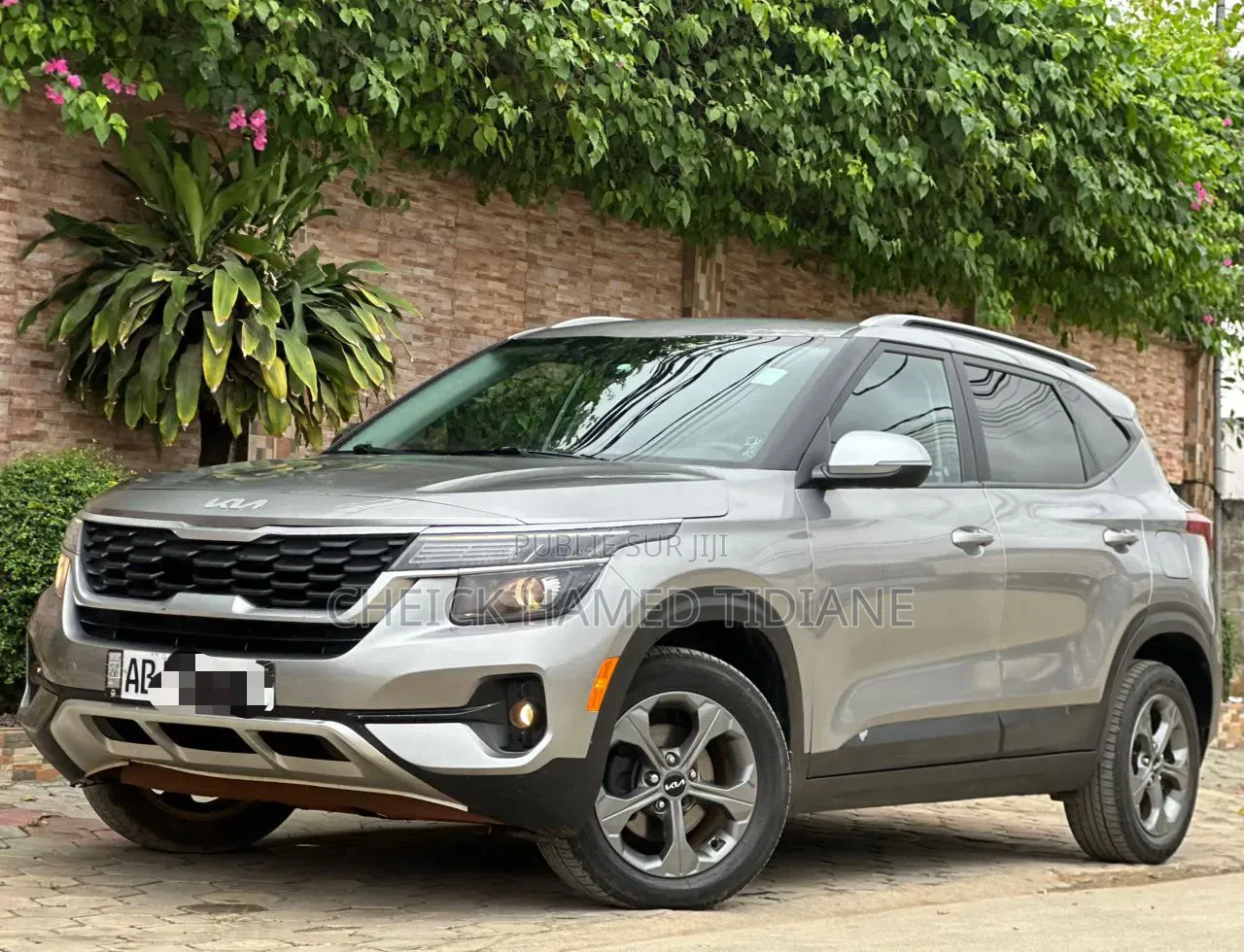 Kia Seltos 2023 Gris