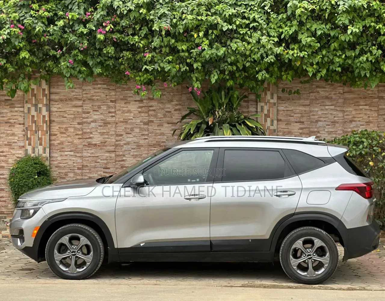 Kia Seltos 2023 Gris
