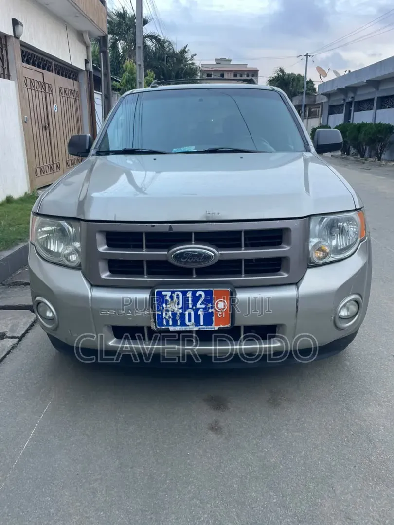 Ford Escape 2010 Gris