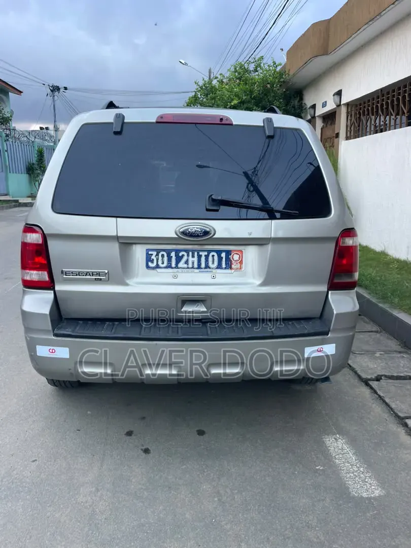Ford Escape 2010 Gris