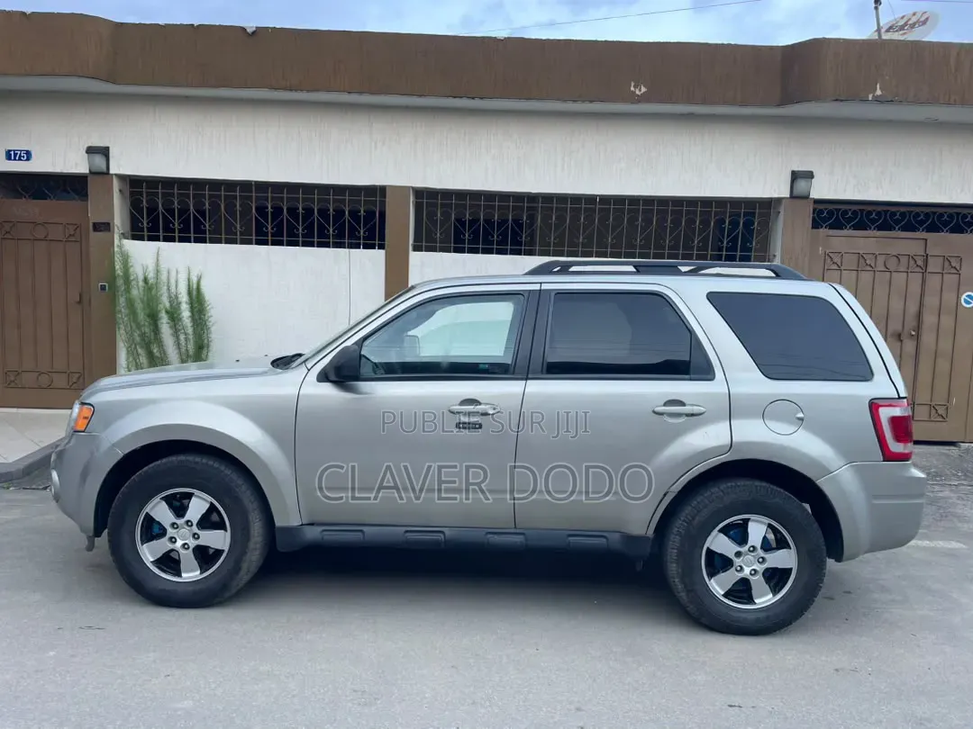 Ford Escape 2010 Gris