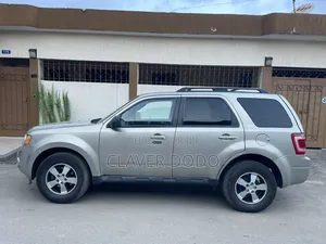 Ford Escape 2010 Gris
