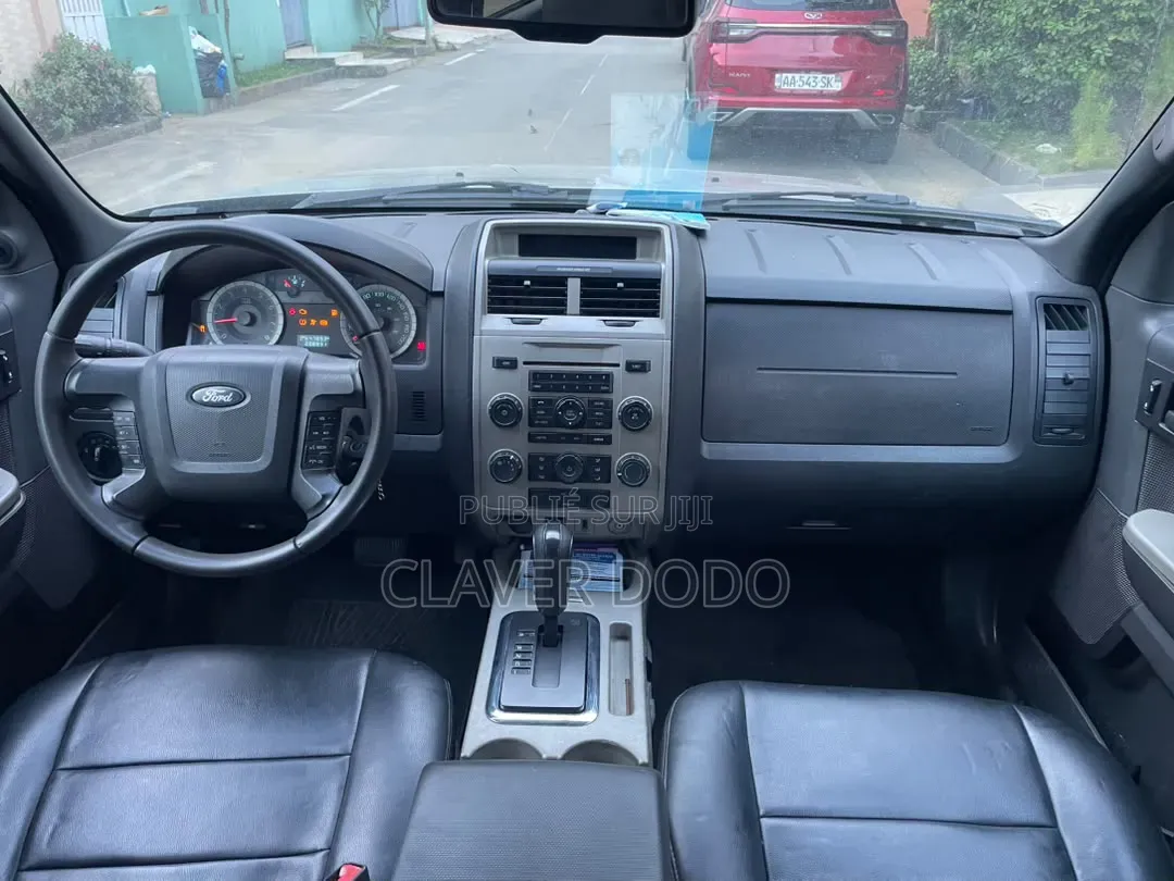 Ford Escape 2010 Gris
