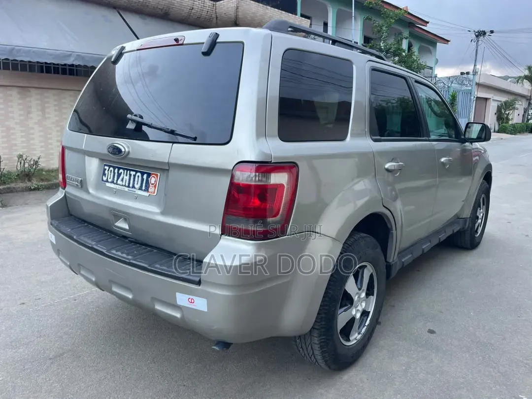 Ford Escape 2010 Gris