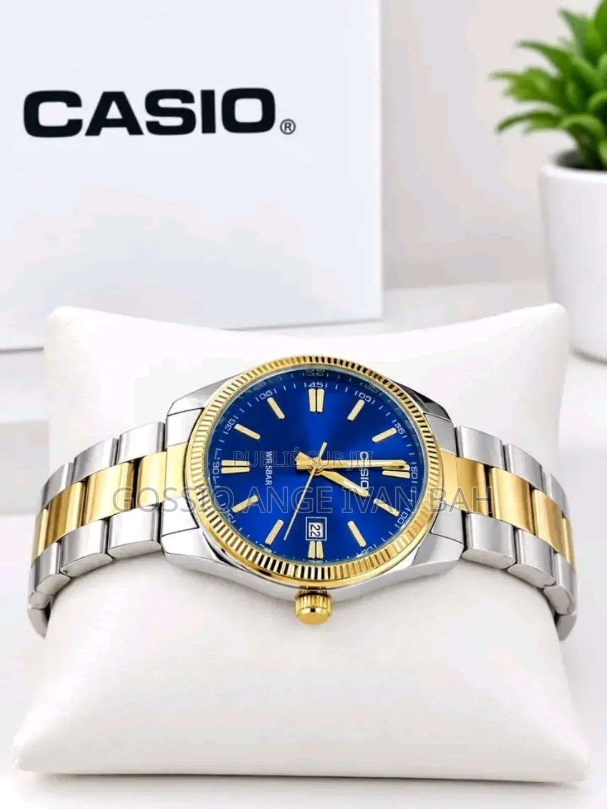 Montres Casio