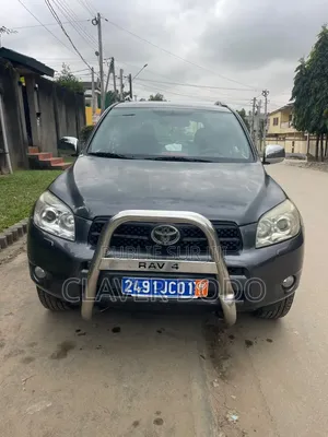 Toyota RAV4 2008 Gris