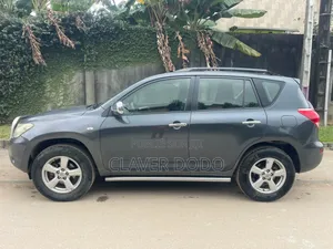 Toyota RAV4 2008 Gris