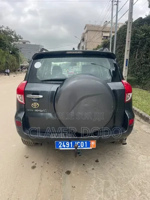 Toyota RAV4 2008 Gris